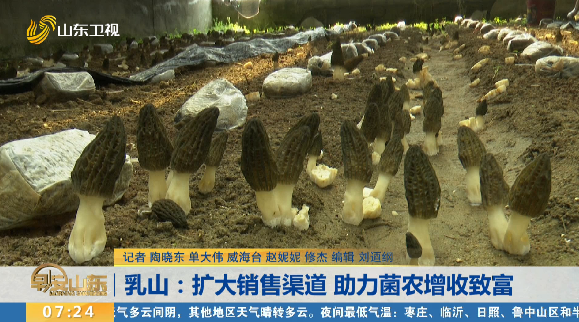 乳山：扩大销售渠道 助力菌农增收致富